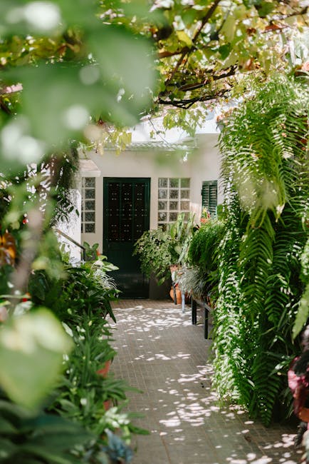 A serene path surrounded by lush greenery leading to a green door under a summer canopy.